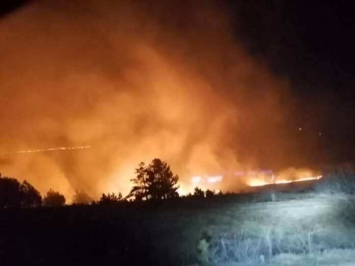 E293E134-75D6-4F65-81B1-8A2EE6833FCD