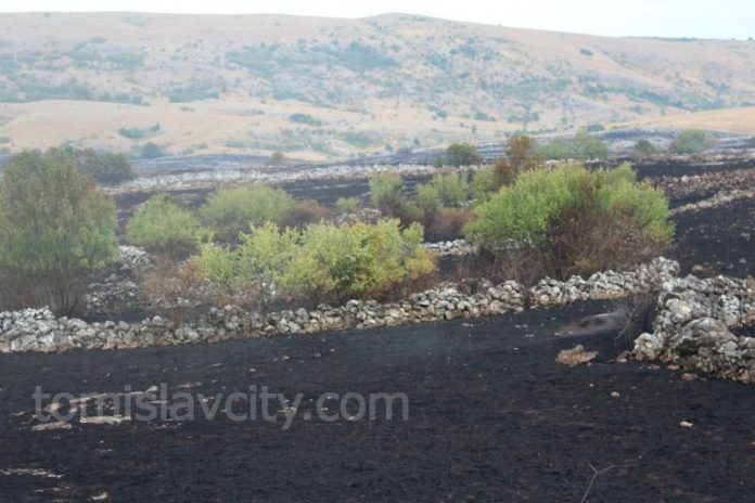 pozar - vojkovici-radosi 43