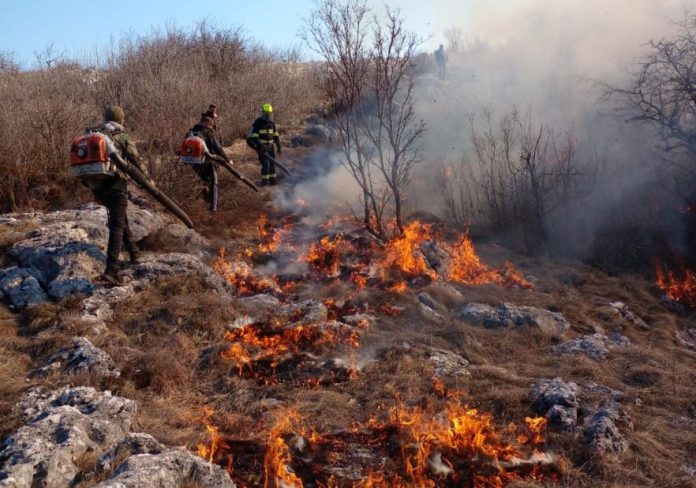 pozar - vatrogasci tg