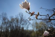 Tjedan pred nama ugodan: Sunčano vrijeme uz umjerenu oblačnost