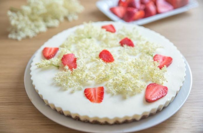 62304425-cheesecake-bazga