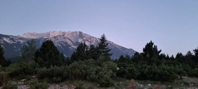 IMG-20220717-WA0047-1170x527