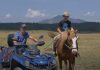 Ovo je dvojac koji čuva najviše krava u BiH (video)
