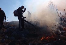 Sezona požara završena: Vatrogasni sustav zajedno s drugim sastavnicama uspješno odgovorio na sve izazove