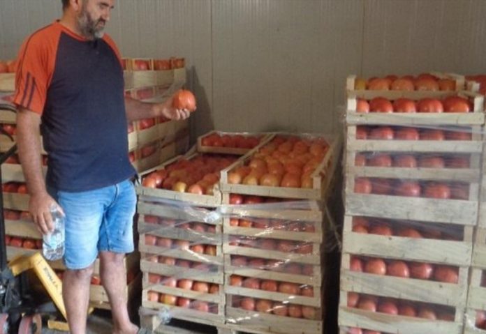 B3F5E037-0C6E-47E6-BB69-A12FB438670D