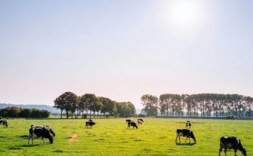 Vlada RH: Raspodijeljena financijska sredstva za poljoprivredne projekte Hrvata u BiH