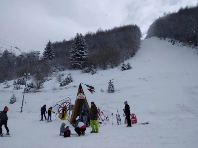ski kraljica