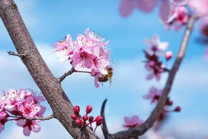 340816522_619498696268116_2547109146450431106_n