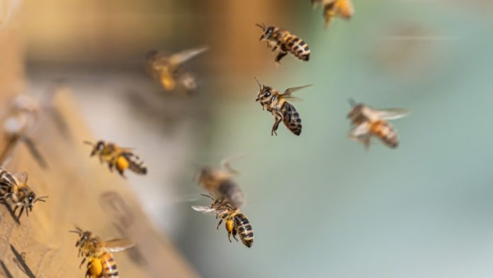 depositphotos-359332900-xl-2-880x495