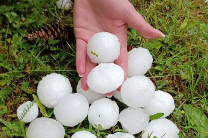 ff9ca866a2ca189ac8a3