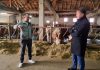 Federalni ministar poljoprivrede boravio u Općini Tomislavgrad – posjetio farmu krava u Mrkodolu i farmu koza u Crvenicama