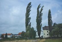 Izdano narančasto upozorenje za cijelu BiH: Udari vjetra do 75 km/h