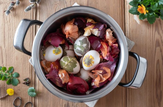 62515807-ljuske-luka-najcesci-su-sastojak-prilikom-prirodnog-bojanja-pisanica