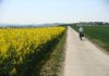 Slavkovo hodočašće u Rim – 5. 6. i 7. etapa