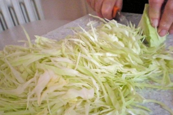 kupus salata