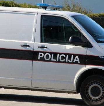 MUP HBŽ: Upozorenje vozačima – oprez zbog pojave divljih životinja na kolniku