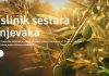 Sestre franjevke u Bijelom Polju pokrenule internetsku stranicu „Paxa Dola“