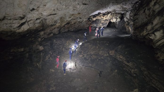 mijatovi dvori_škola