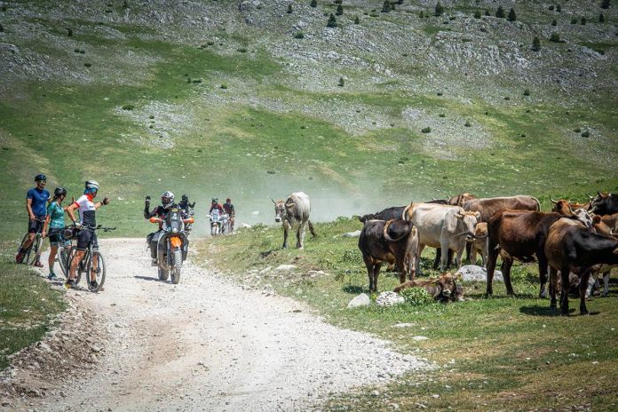 Biciklom-kroz-srce-Balkana-slika-8-webp (1)
