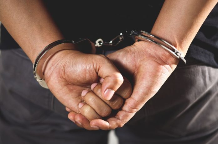 lopov-zatvor-policija