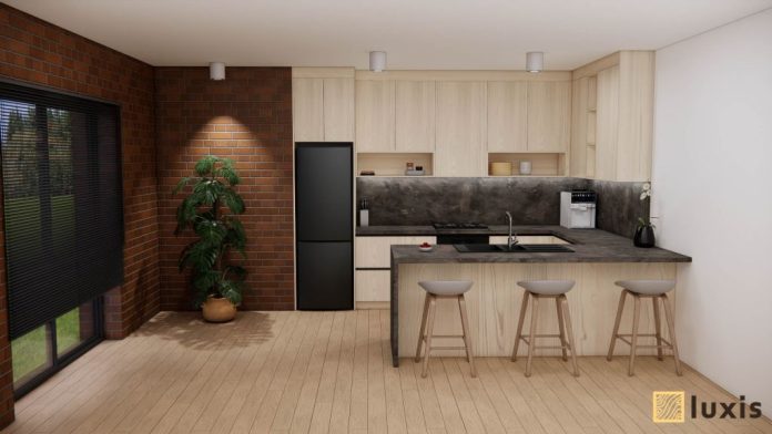 Luxis_projekti (1)