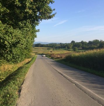 Slavkovo zavjetno hodočašće Aljmaš – Dubrovnik: “K Tebi kao Božjoj i svojoj majci odlučio sam doći.”