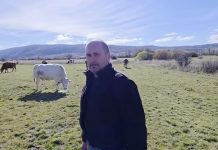 Ivica iz Rakitna dokaz je da se od stočarstva itekako može živjeti