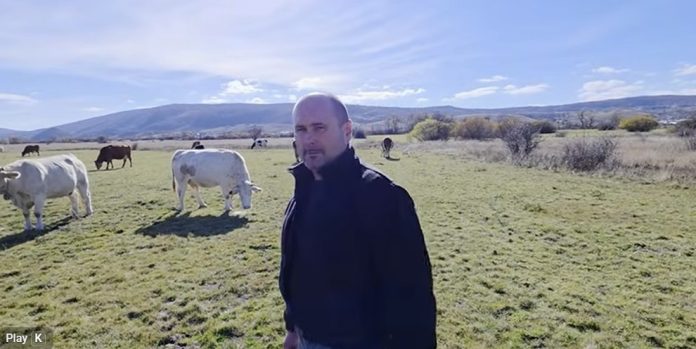 Snimka zaslona 2025-11-15 093353