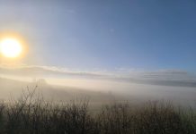 Zemljo progovori (U spomen na sve nestale u Domovinskom ratu)