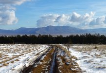 Živi život u ljubavi!