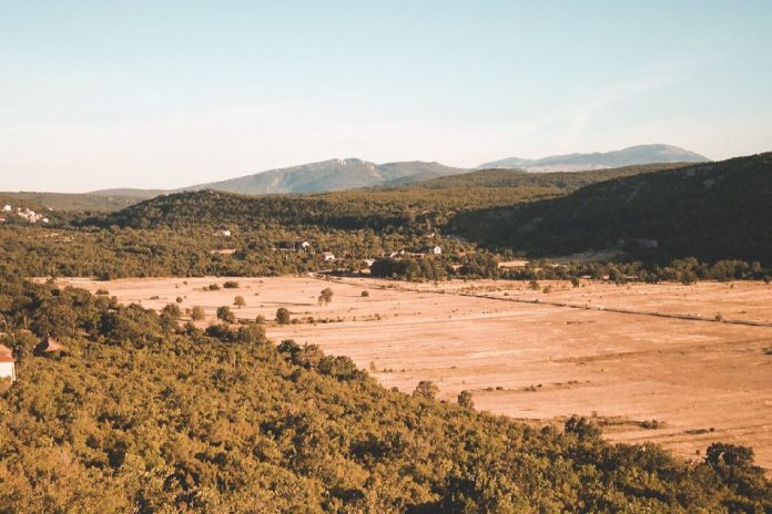 Vinica