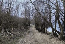 Meditacije o biblijskim psalmima: Naš Bog je uvijek s nama