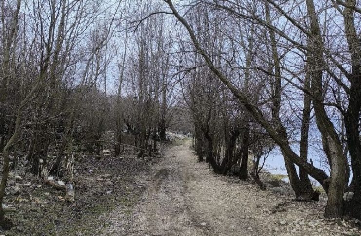 Meditacije o biblijskim psalmima: Naš Bog je uvijek s nama