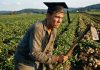 Uredski poslovi na prekretnici: Može li fakultetska diploma preživjeti uspon umjetne inteligencije?