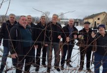 Vincekovo u Duvanjskom polju: Blagoslov vinograda kod pionira vinarstva Marka Bakovića Kosalja
