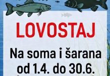 Lovostaj na soma, šarana i smuđa: Pojačane kontrole na Buškom jezeru