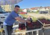 Koja je cijena prvih trešanja na tomislavgradskoj tržnici? trešnje