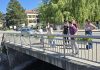 Učenici u Livnu cvijećem uljepšali gradske ulice