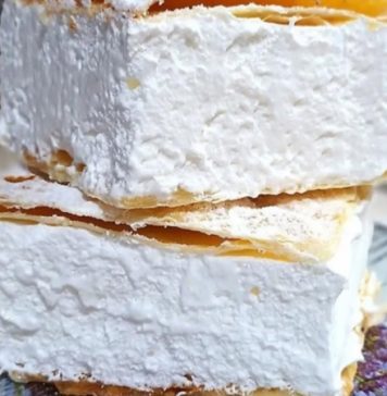 Starinski recept za domaću šampitu koji uvijek uspijeva, krema je savršeno pjenasta