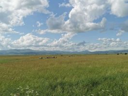 Meditacije o biblijskim psalmima: Čovjek bez Boga