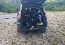 Na području Livna i Gruda spriječeno krijumčarenje migranata