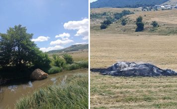 U Šujici zapalili bale sijena, dio bacili u rijeku: Vlasnik nudi 5.000 KM za informacije