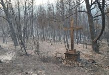Prizor koji je dirnuo mnoge: Netaknuti križ usred spaljenog krajolika