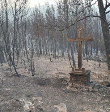 Prizor koji je dirnuo mnoge: Netaknuti križ usred spaljenog krajolika