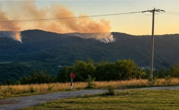 HBŽ: Drvar traži pomoć helikoptera zbog požara kod sela Kamenica