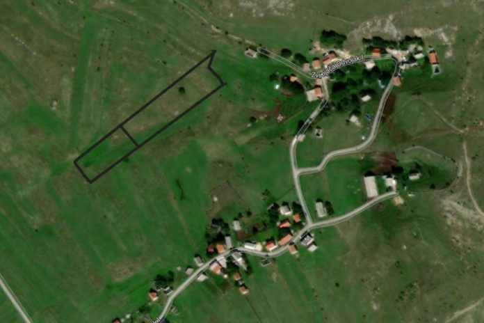 zvirnjaca-slika 0