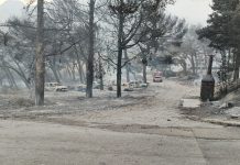 Kanaderi poletjeli iznad Omiša, na požarištu gotovo tristo vatrogasaca!