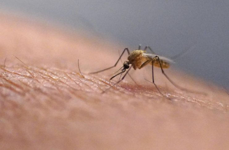 Zašto komarci neke ljude grizu više nego druge? Znanstvenici otkrili što ih privlači