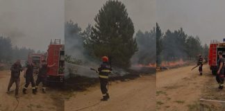 Trenutno stanje na Ljubuši: Situacija mirnija nego jutros, požar i dalje aktivan (video)