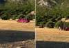 Na konjskim utrkama u Hercegovini, automobilom gazio ljude! Počinitelj u bijegu, uhićeni pomagači